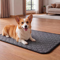 Doglike Washable Pee Pads for Dogs [Upgraded Silver-Ion Odor] – Ultra Absorbent, Leak-Proof, Non-Slip & 5-Hour Quick-Drying Reusable Puppy Training Pads for Home, Crate & Sofa, 24" x 18" (2 Pack)